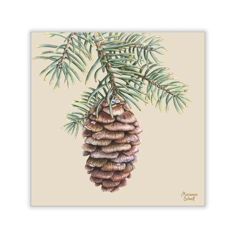 Vinterkort-Kvadratiske-grankogle på gren-beige-bg.jpg