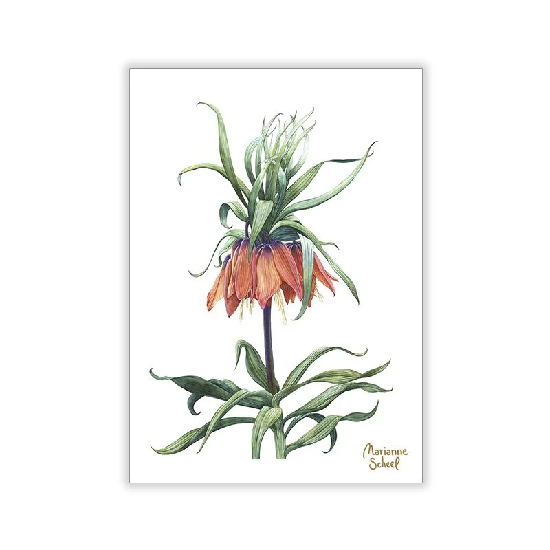 Kejserkrone-A7-blomsterkort-hvid-BG-forside-Marianne-Scheel.jpg