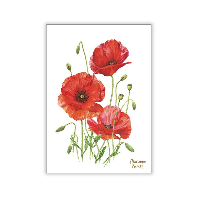 Vlilde-Valmuer-A7-blomsterkort-forside-Marianne-Scheel.jpg