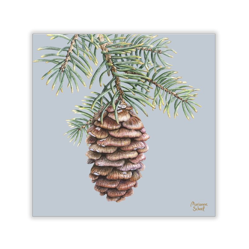Vinterkort-Kvadratiske-grankogle på gren-lyseblå-bg.jpg