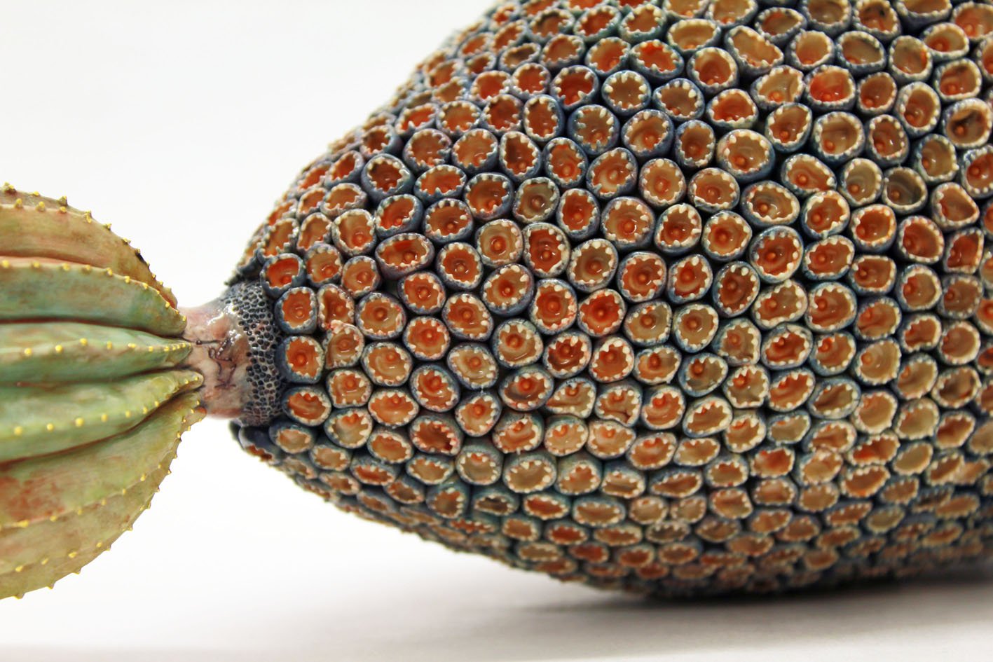 Cactus dirigeable2.jpg