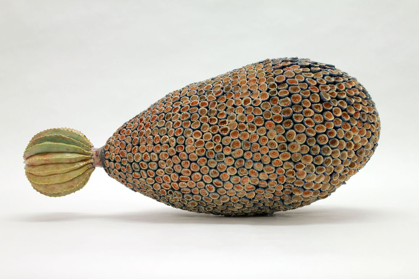Cactus dirigeable