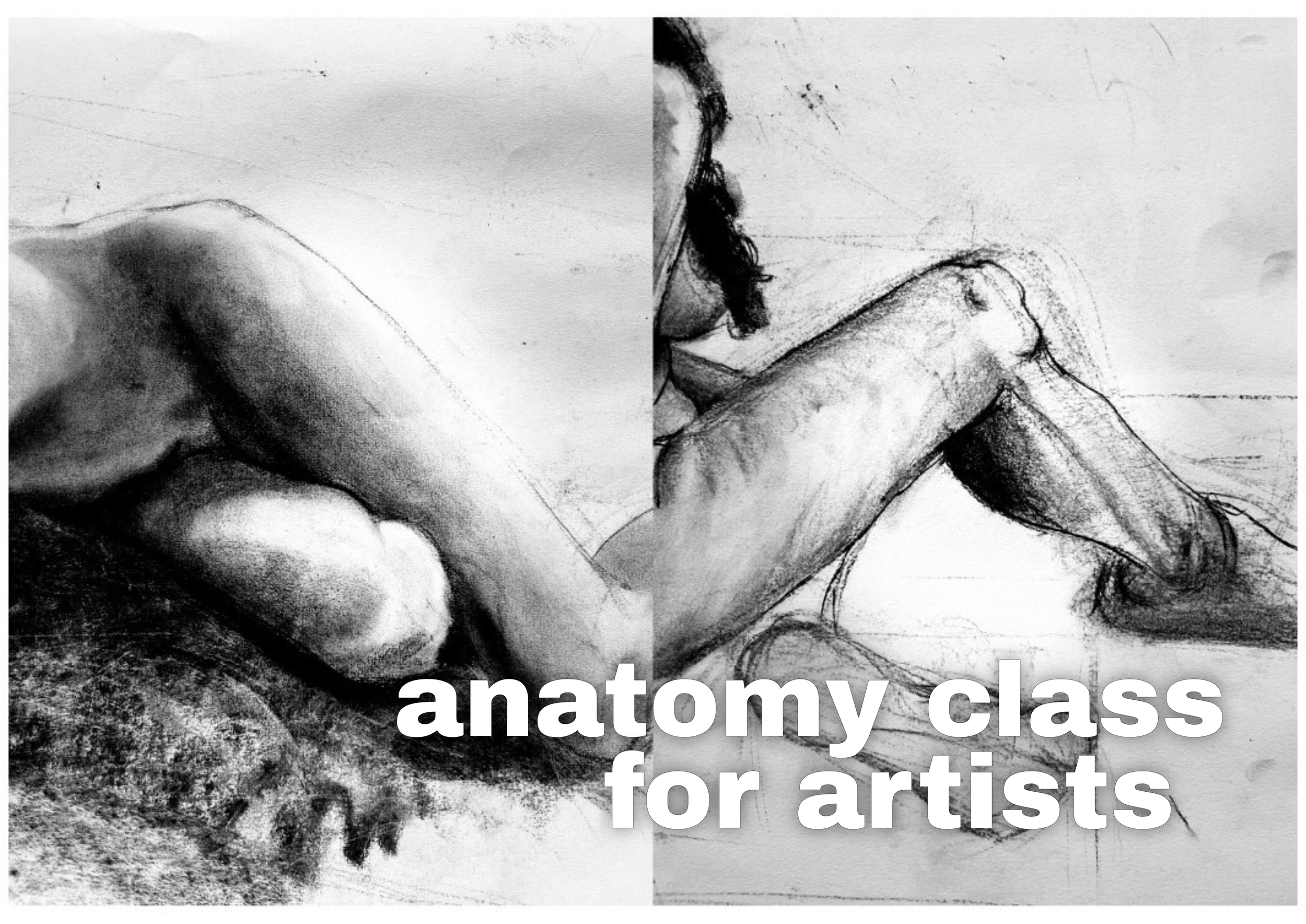 Anatomy Class for Artists