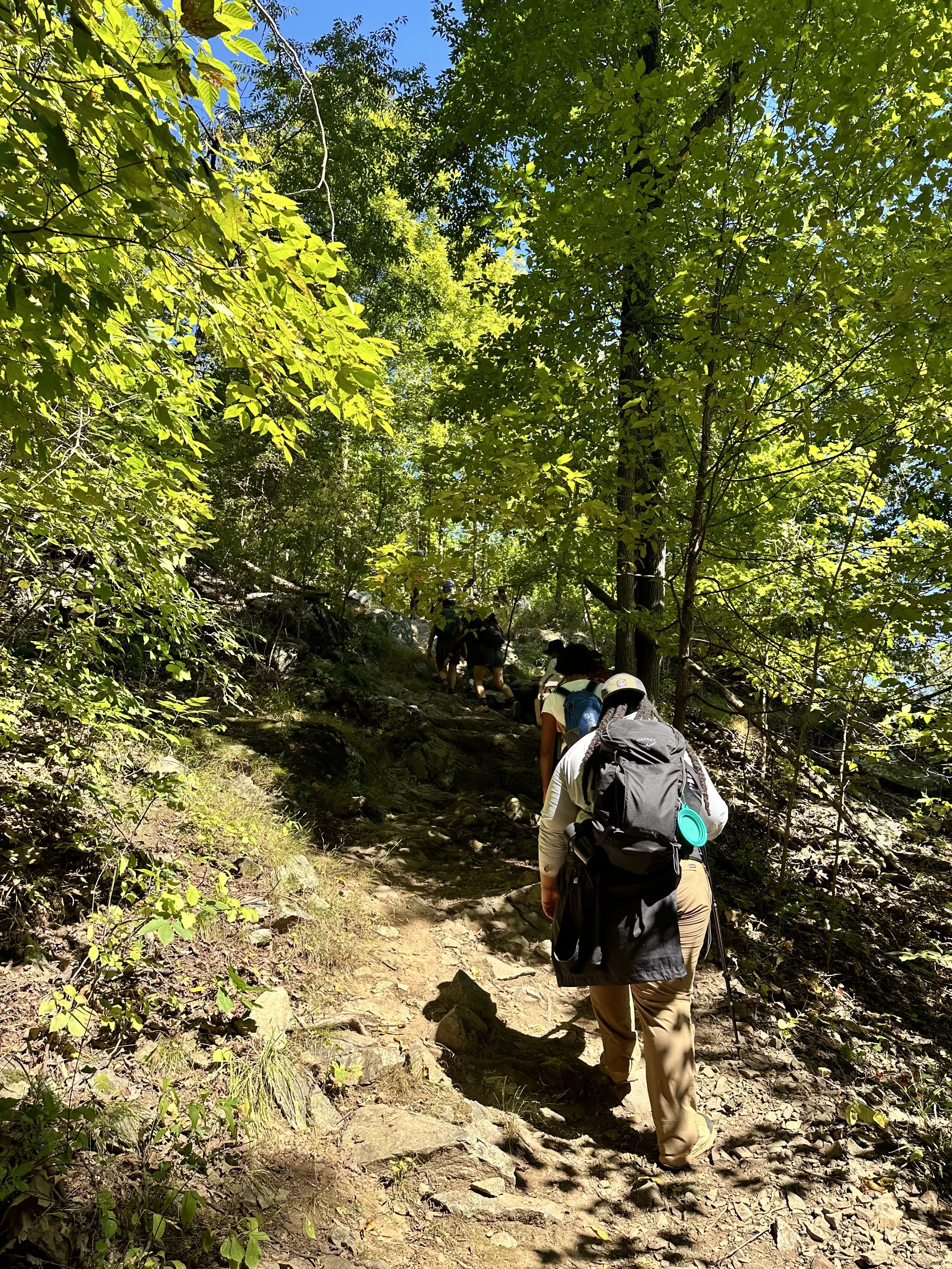 A group of hikers walking along a rocky trail through a densely wooded forest on a sunny day.