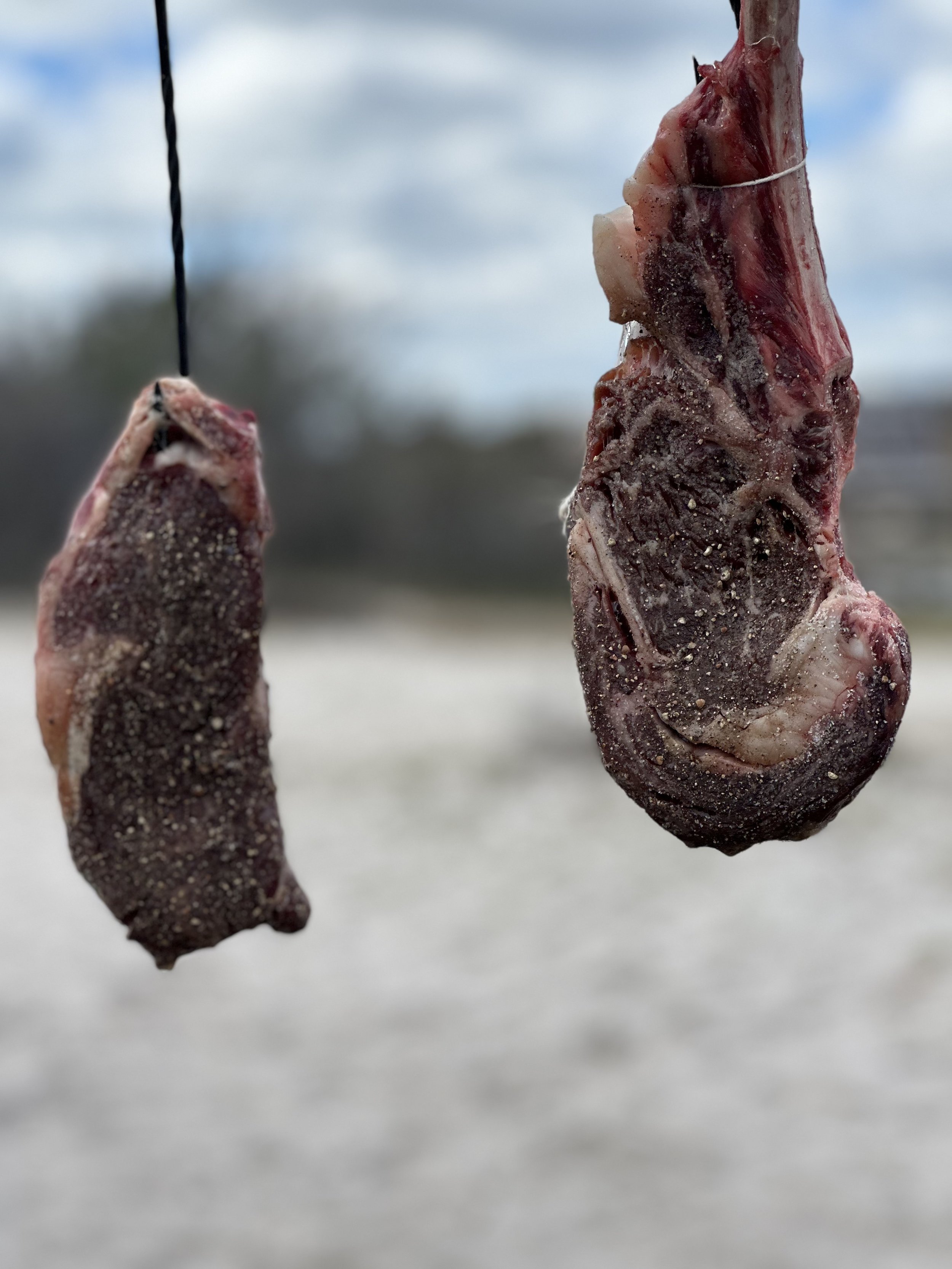 Two pieces of raw meat hanging on a string outdoors with cloudy sky in the background.