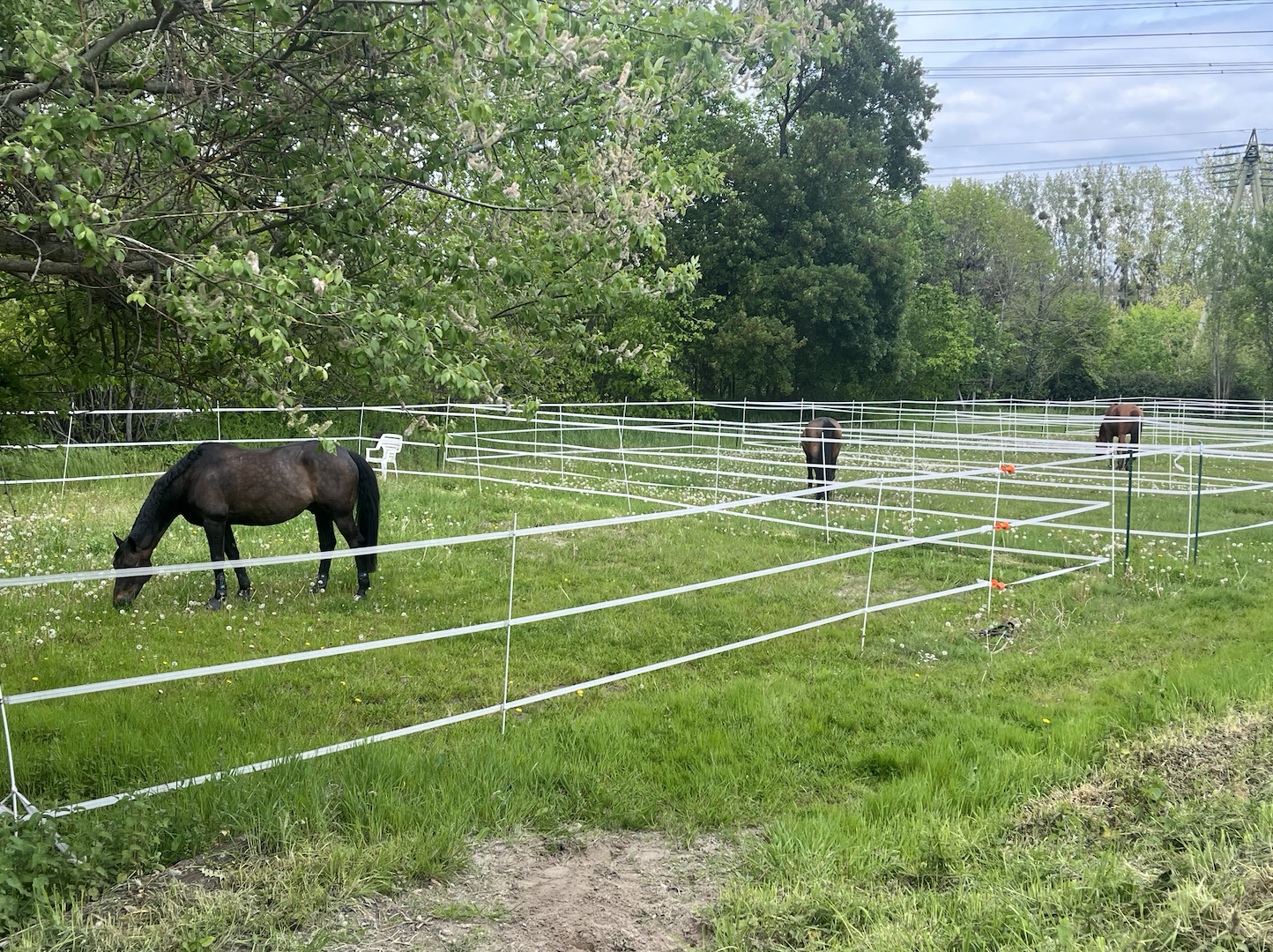 Capture d’écran 2024-06-16 à 09.43.46.png