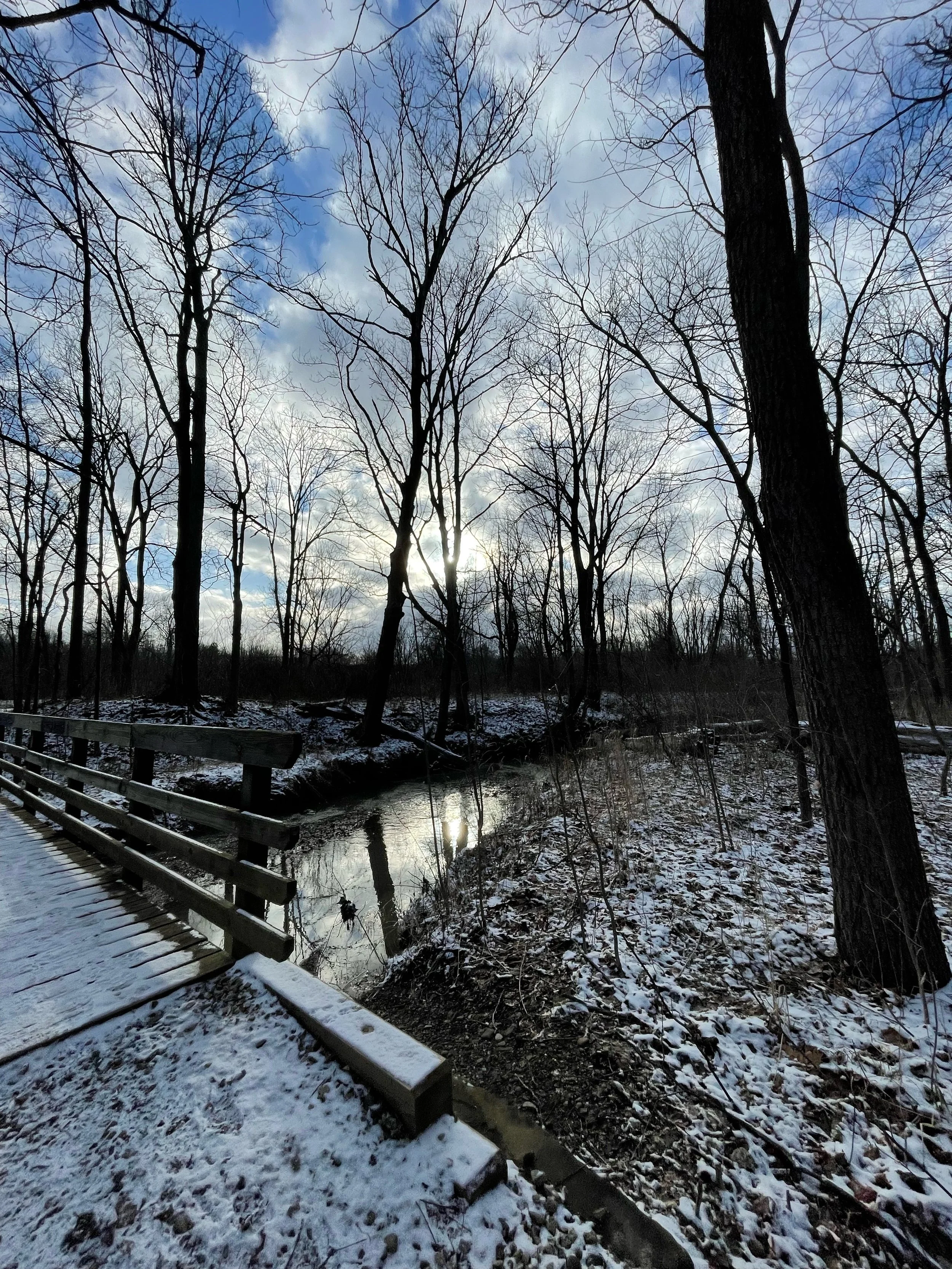IMG_3362_Original.jpeg
