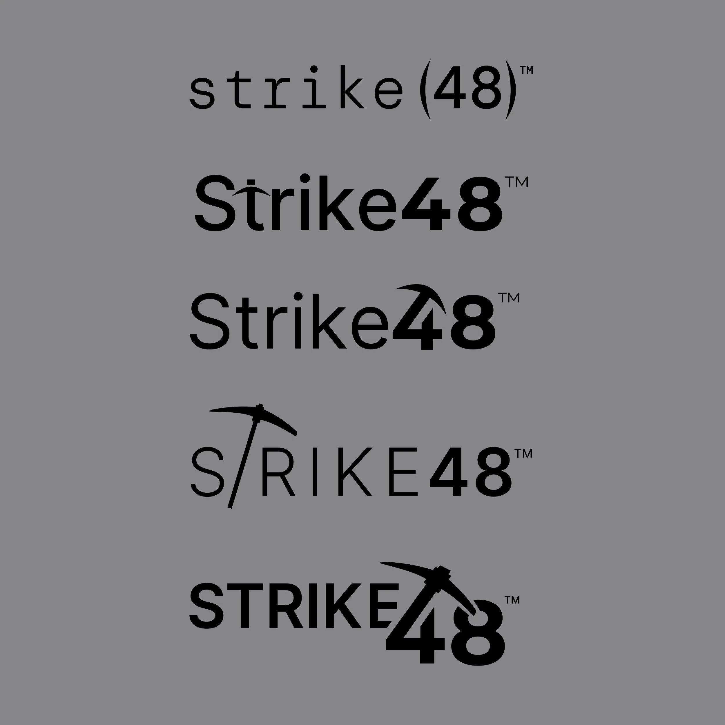 s48_portfolio_logo_concepts_image_2500px.jpg