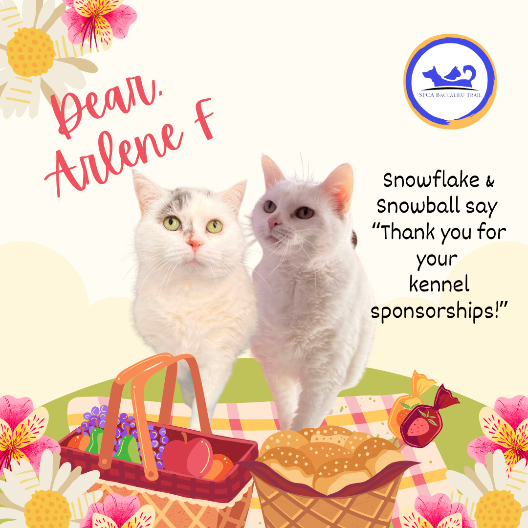 August Sponsorships.png