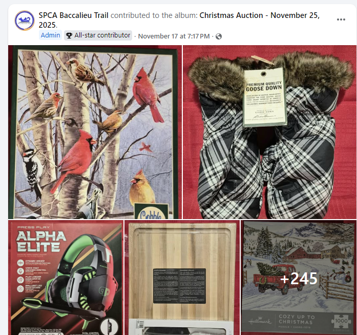 Online Christmas Auction