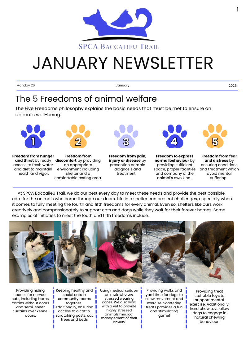 January 2026 Newsletter