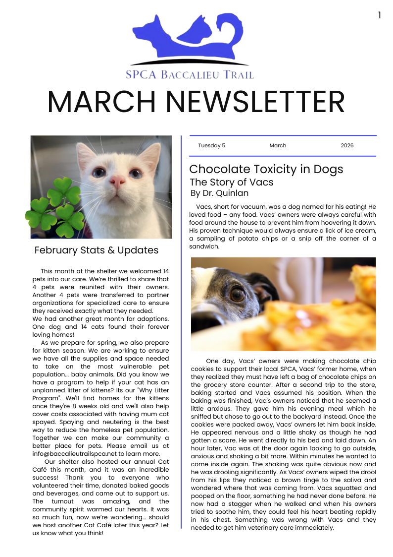 March 2026 Newsletter