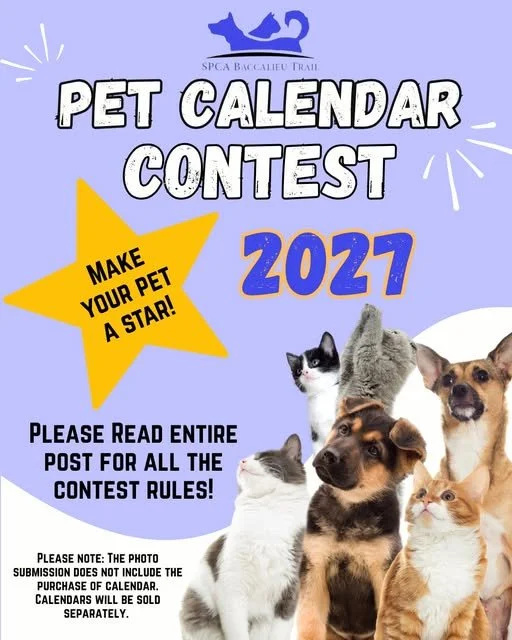 2027 Pet Calendar Contest