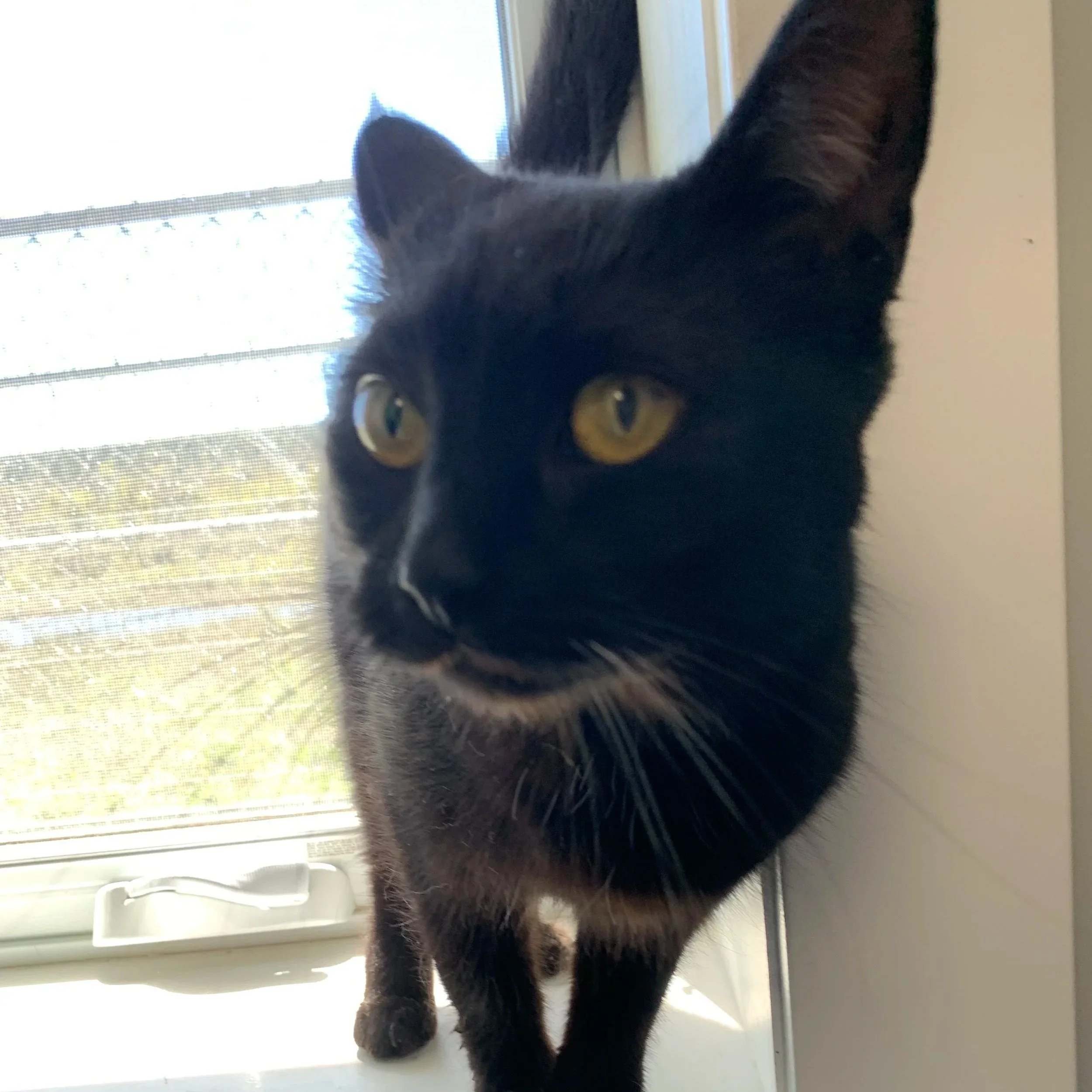 Eleanor