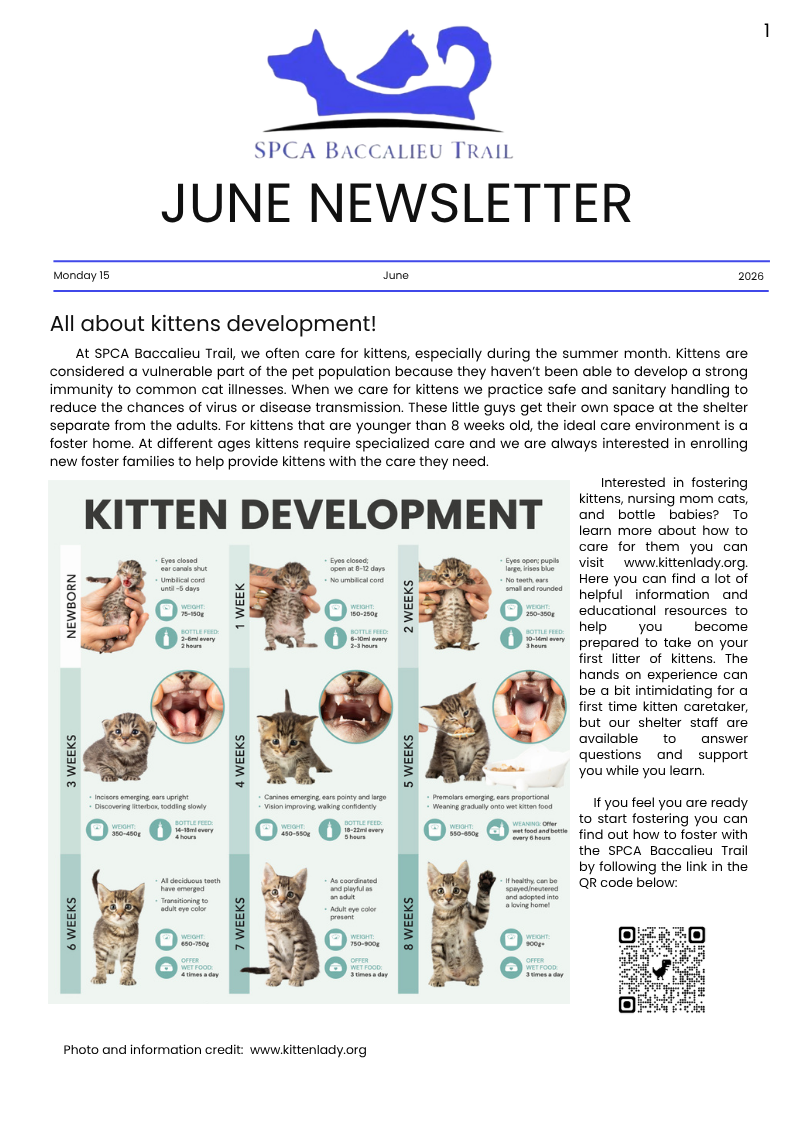 June 2026 Newsletter