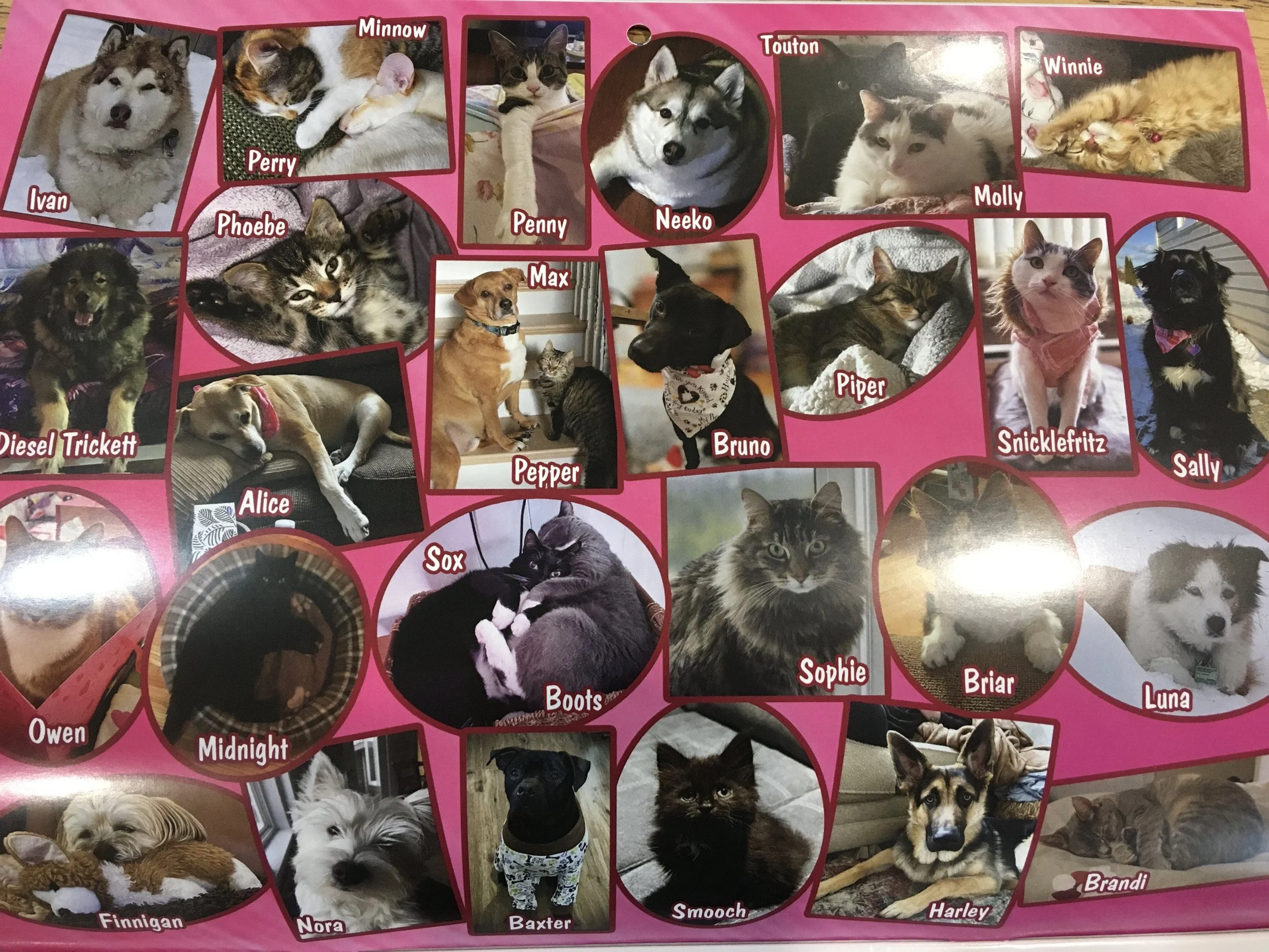 Calendar Pre-Orders!