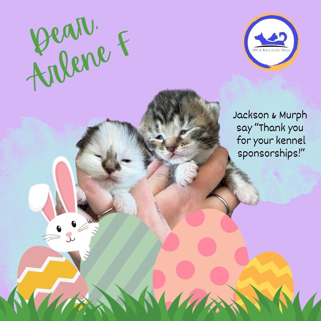 April Sponsorships (6).png