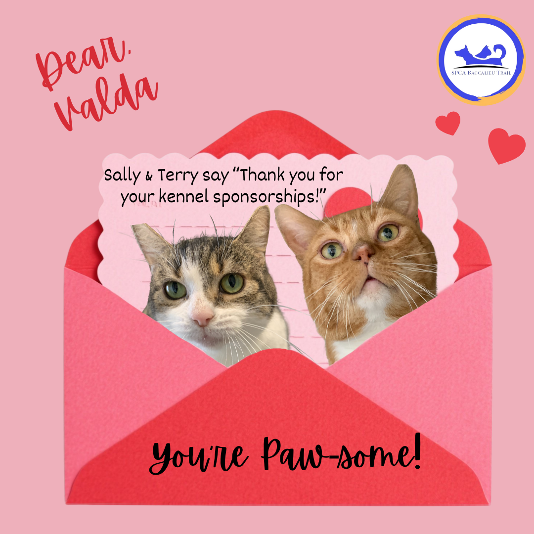 Valentines Sponsorships (2).png