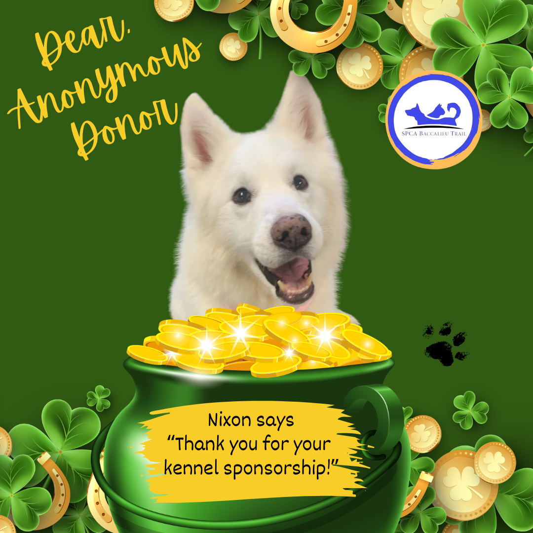 March Sponsorships (2).png