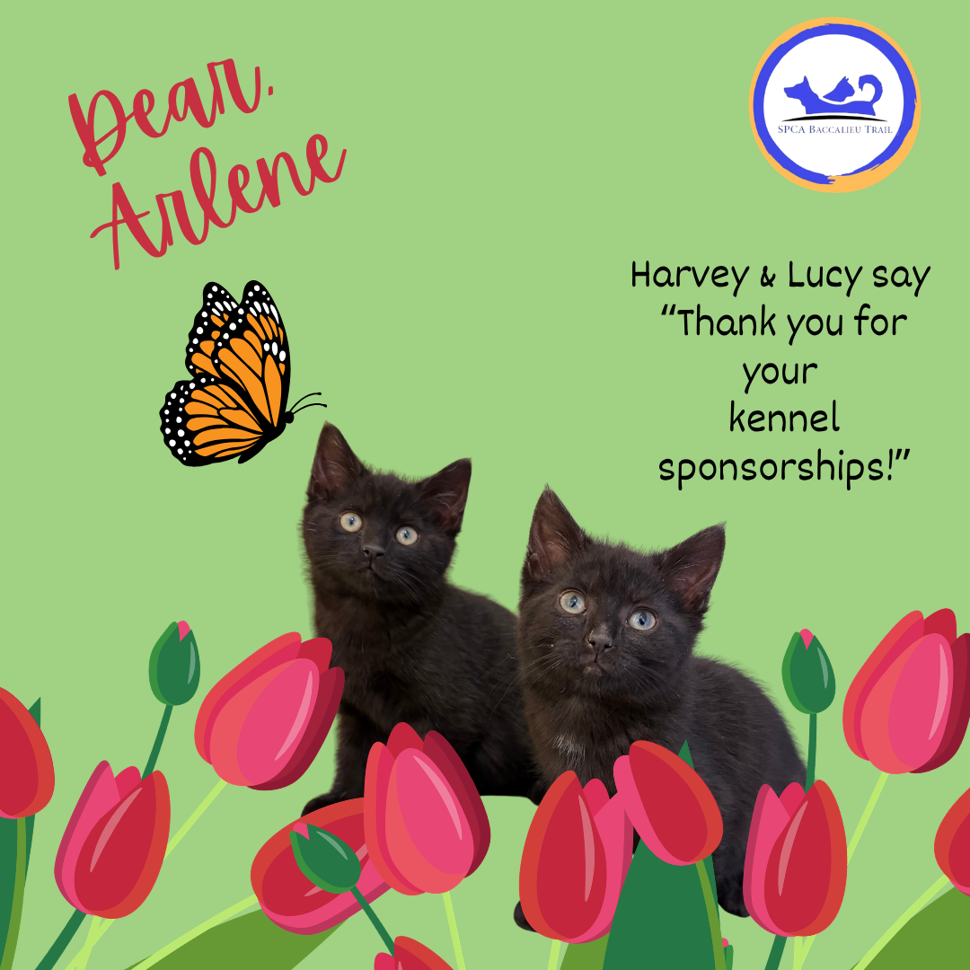 June Sponsorships.png