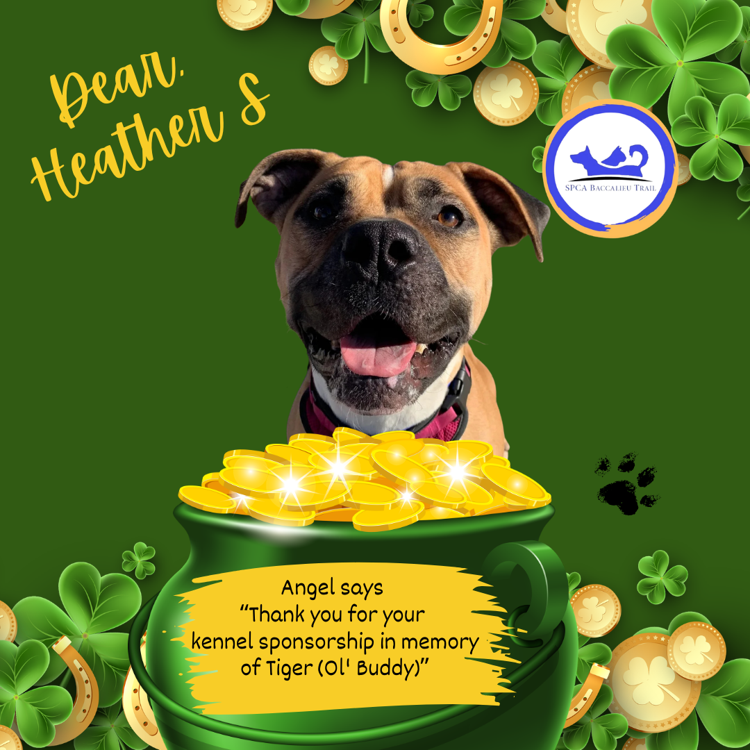 March Sponsorships (1).png