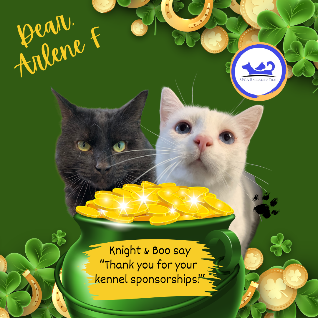 March Sponsorships (4).png