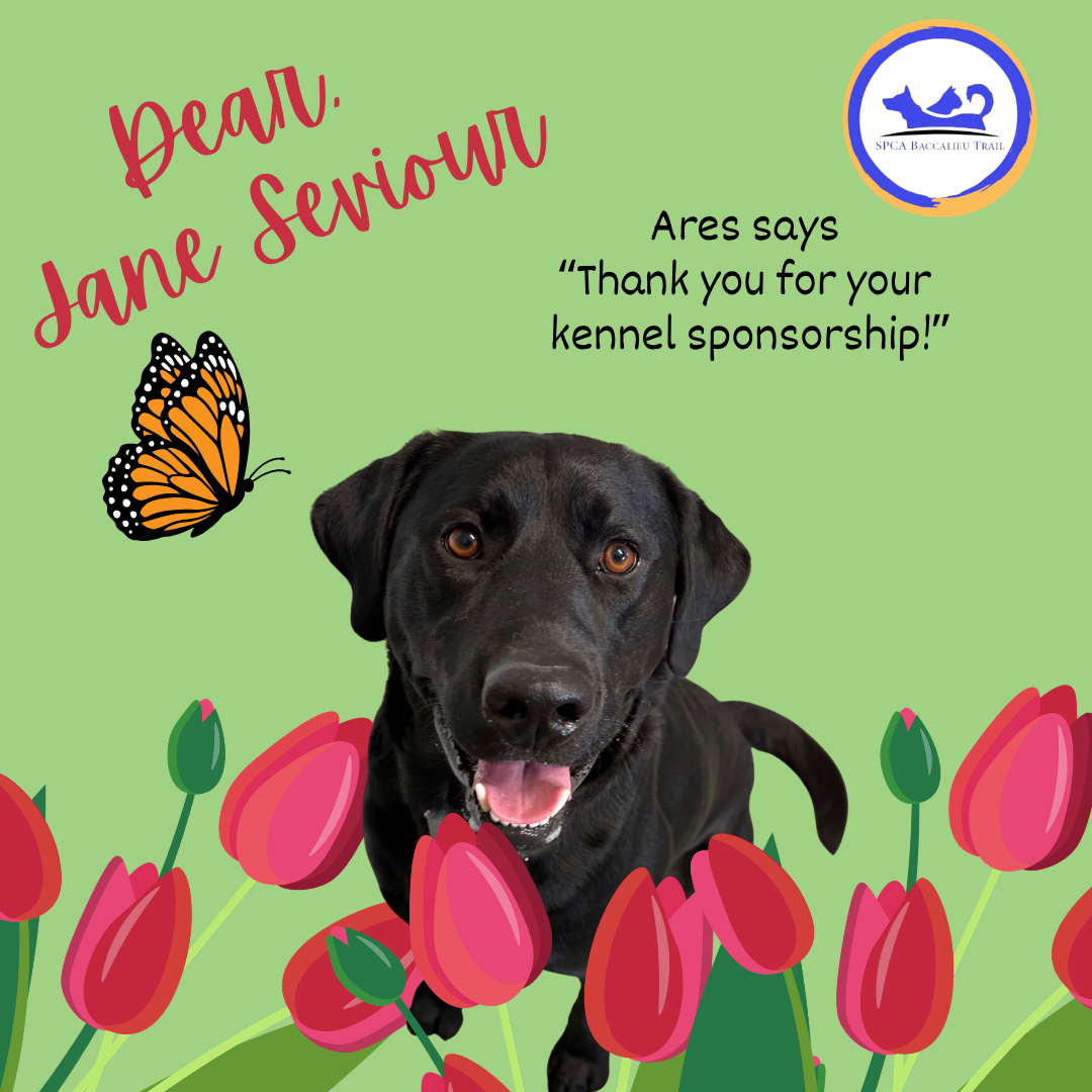 June Sponsorships (3).png