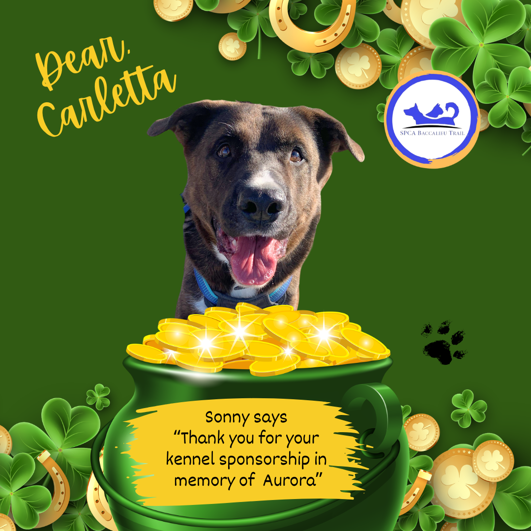 March Sponsorships.png