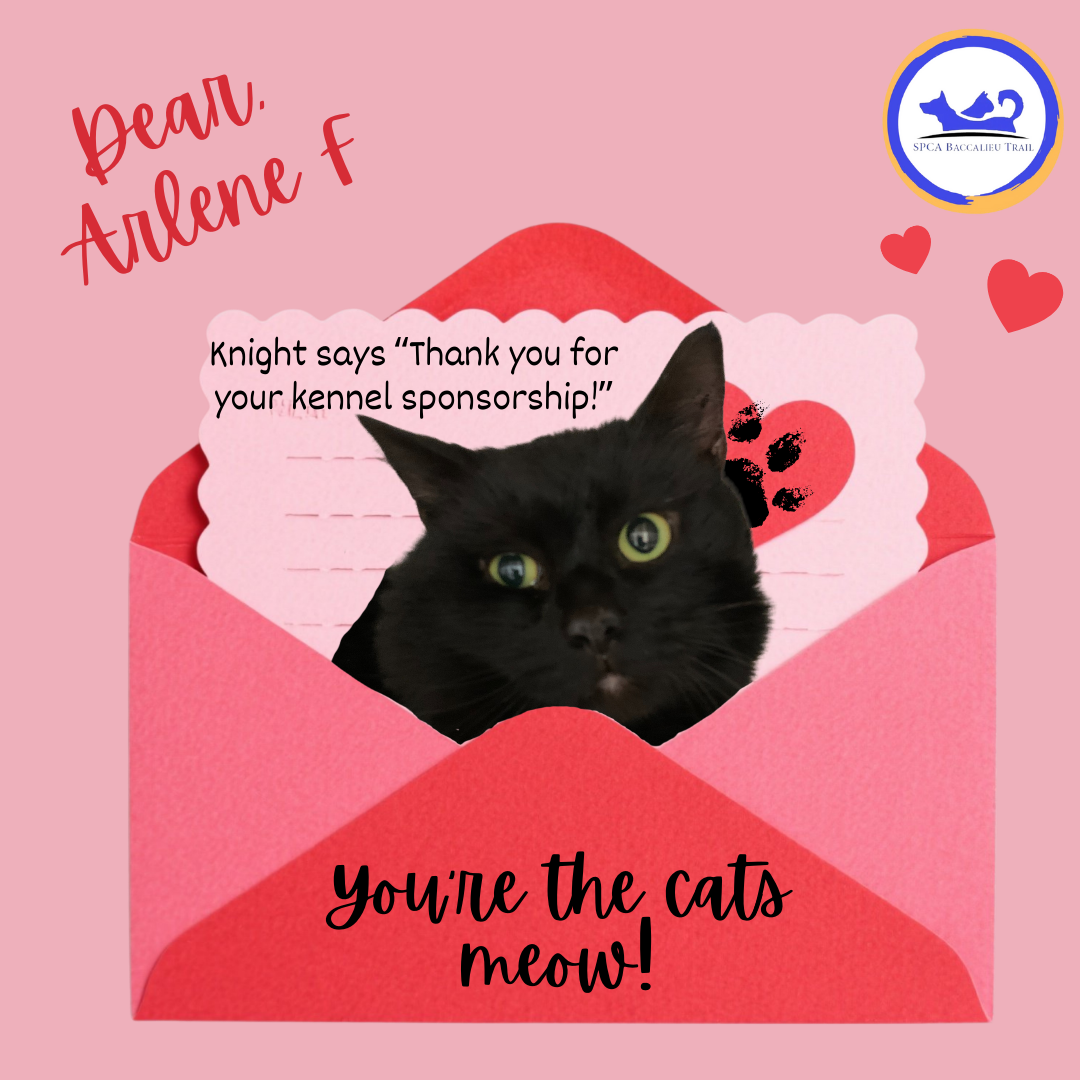 Valentines Sponsorships (3).png