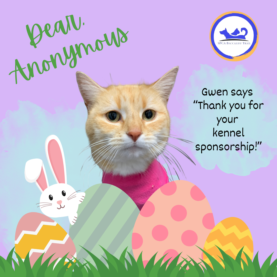 April Sponsorships (3).png
