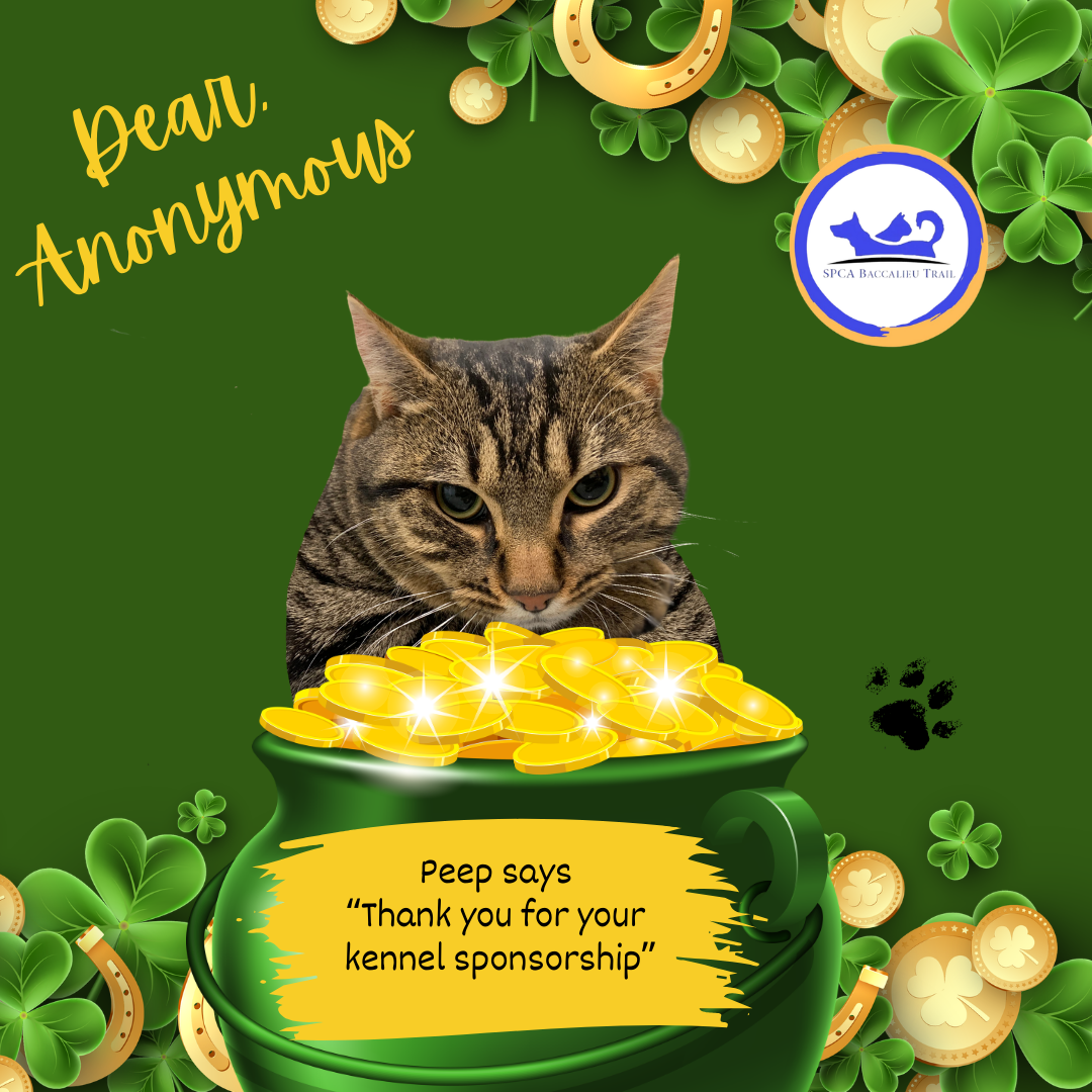 March Sponsorships (5).png