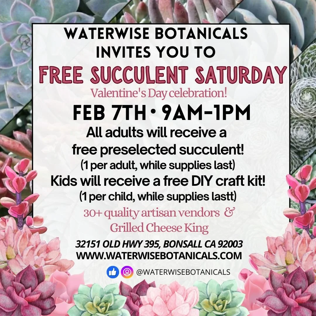 Waterwise Botanicals Valentine’s Free Succulent Saturday