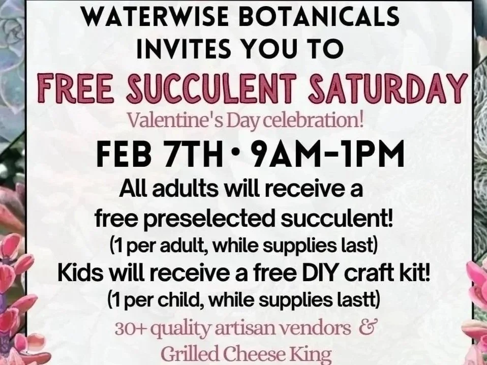 Waterwise Botanicals Valentine’s Free Succulent Saturday