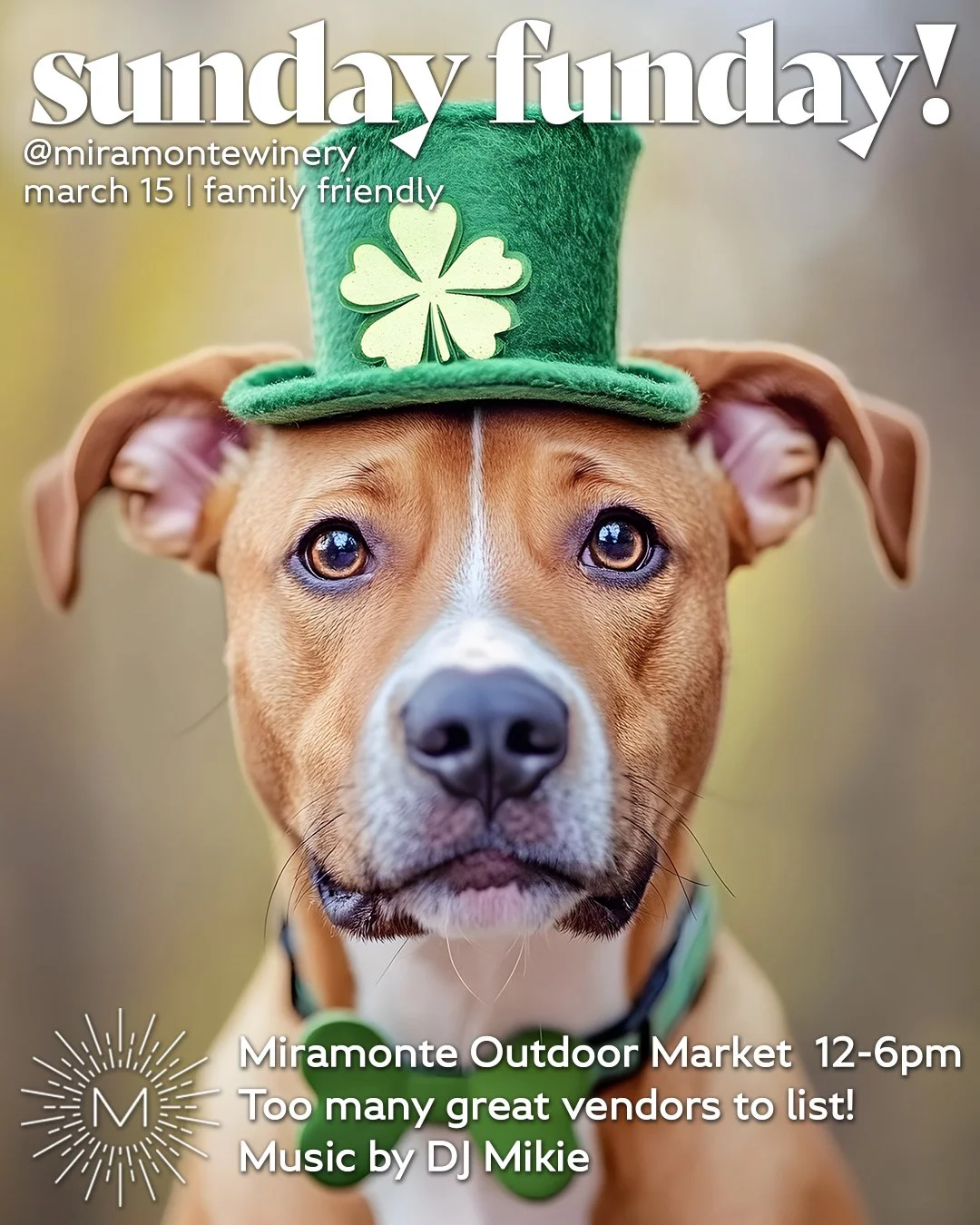 Sunday Funday Miramonte Outdoor Market!