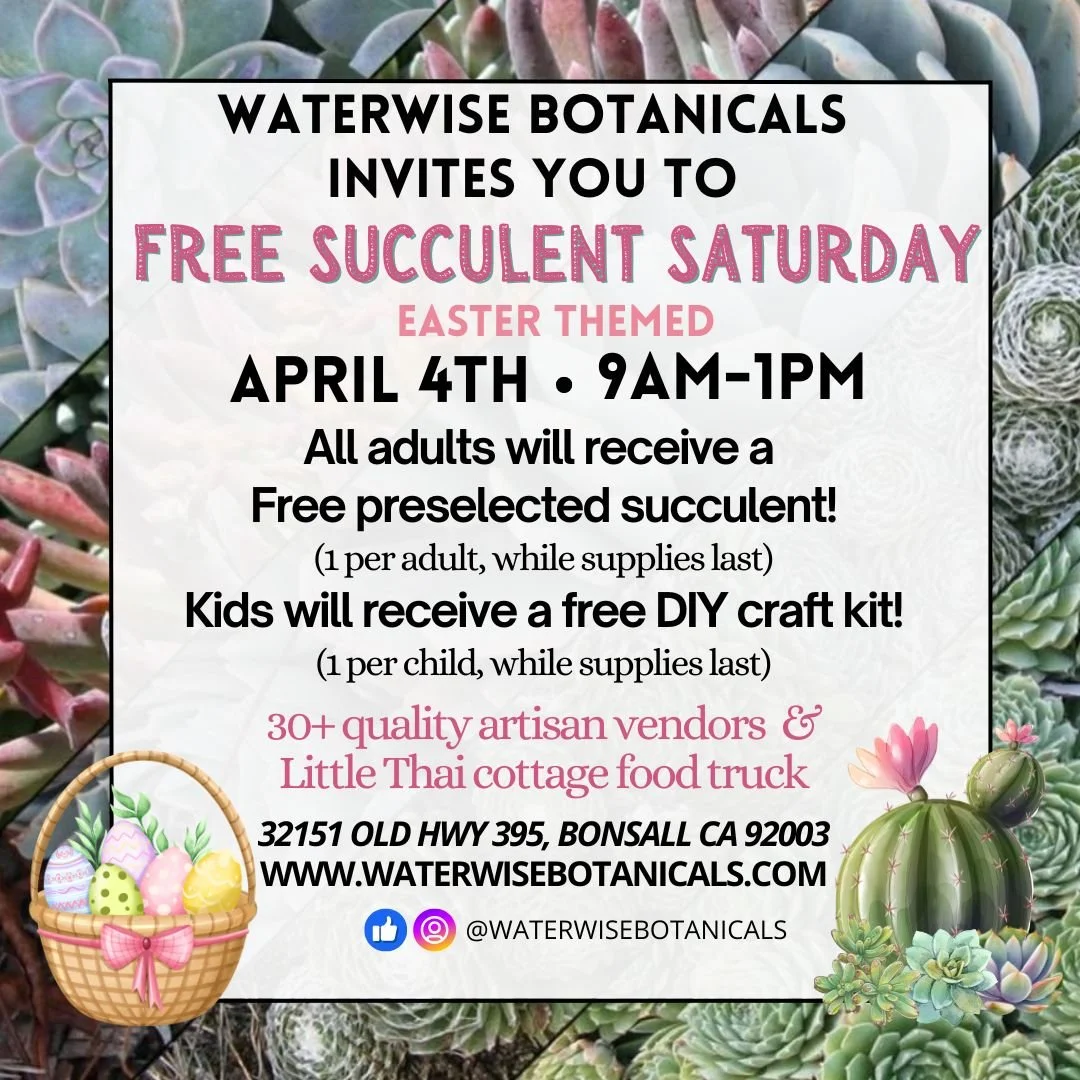 Waterwise Botanicals Easter Themed Free Succulent Saturday