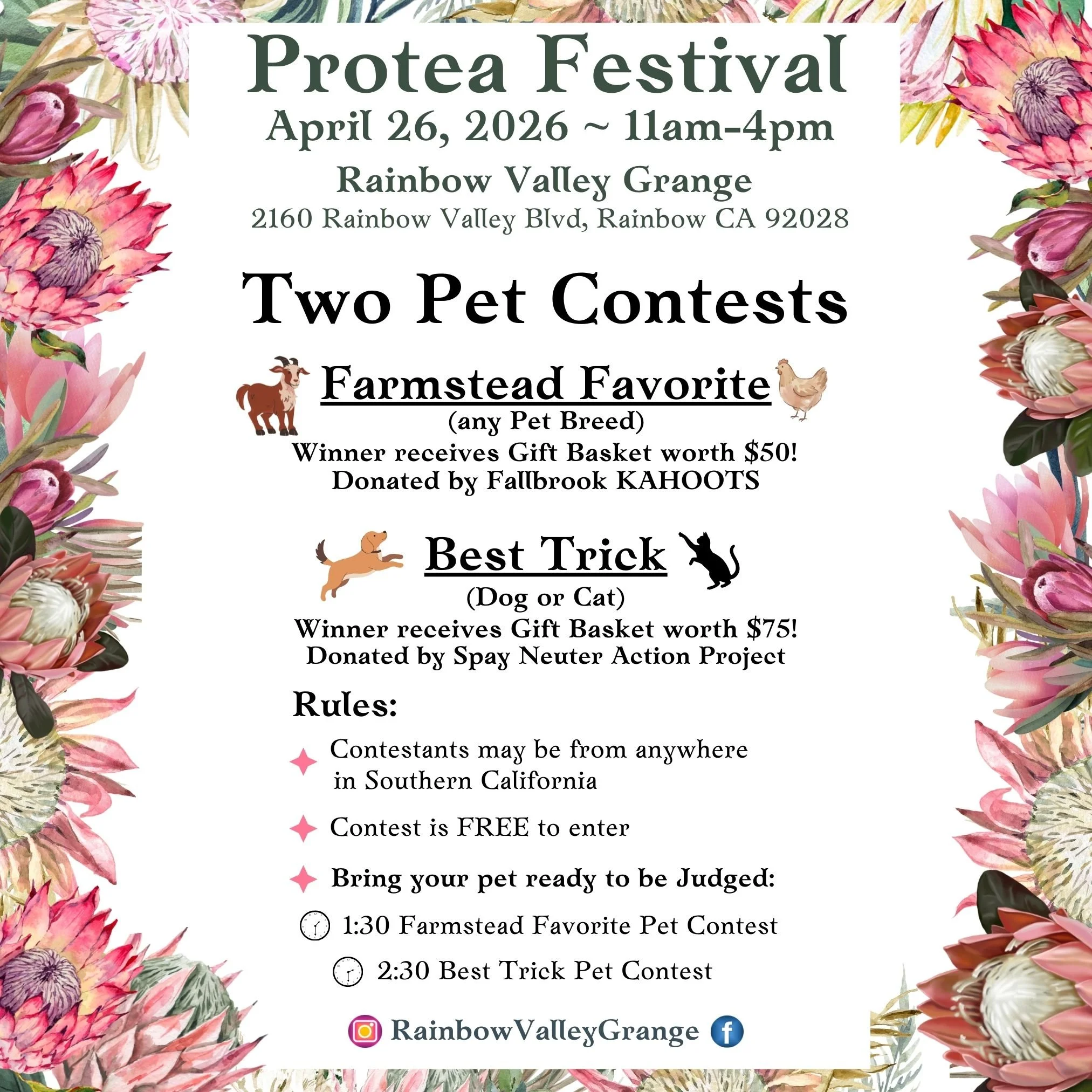 Protea Festival