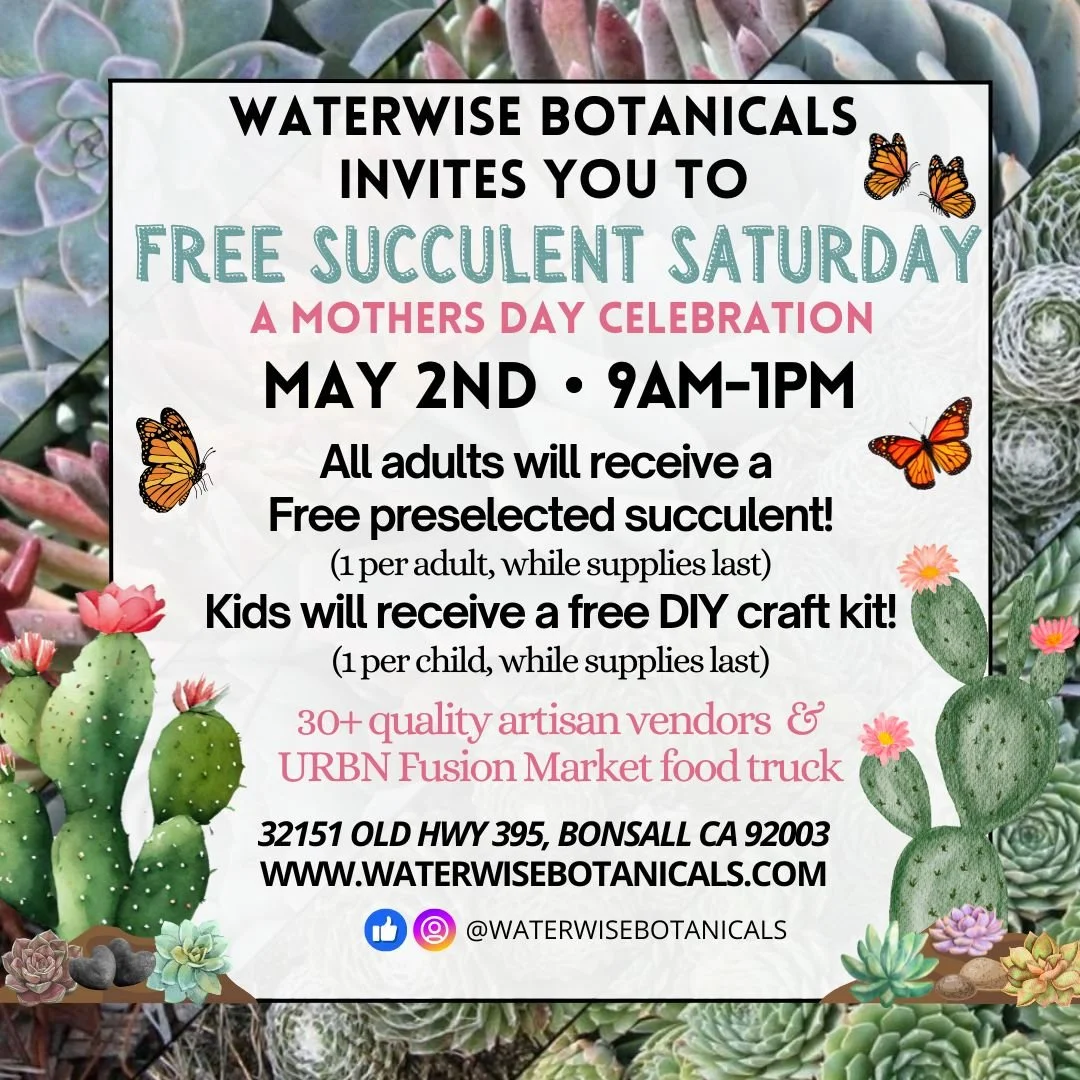 Waterwise Botanicals Mother’s Day Free Succulent Saturday