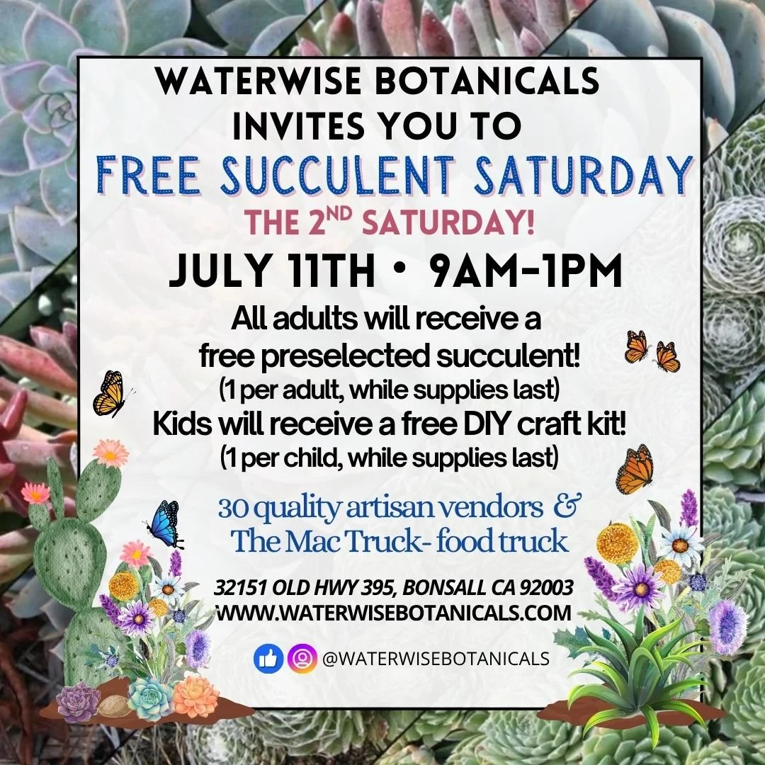 Waterwise Botanicals Free Succulent Saturday