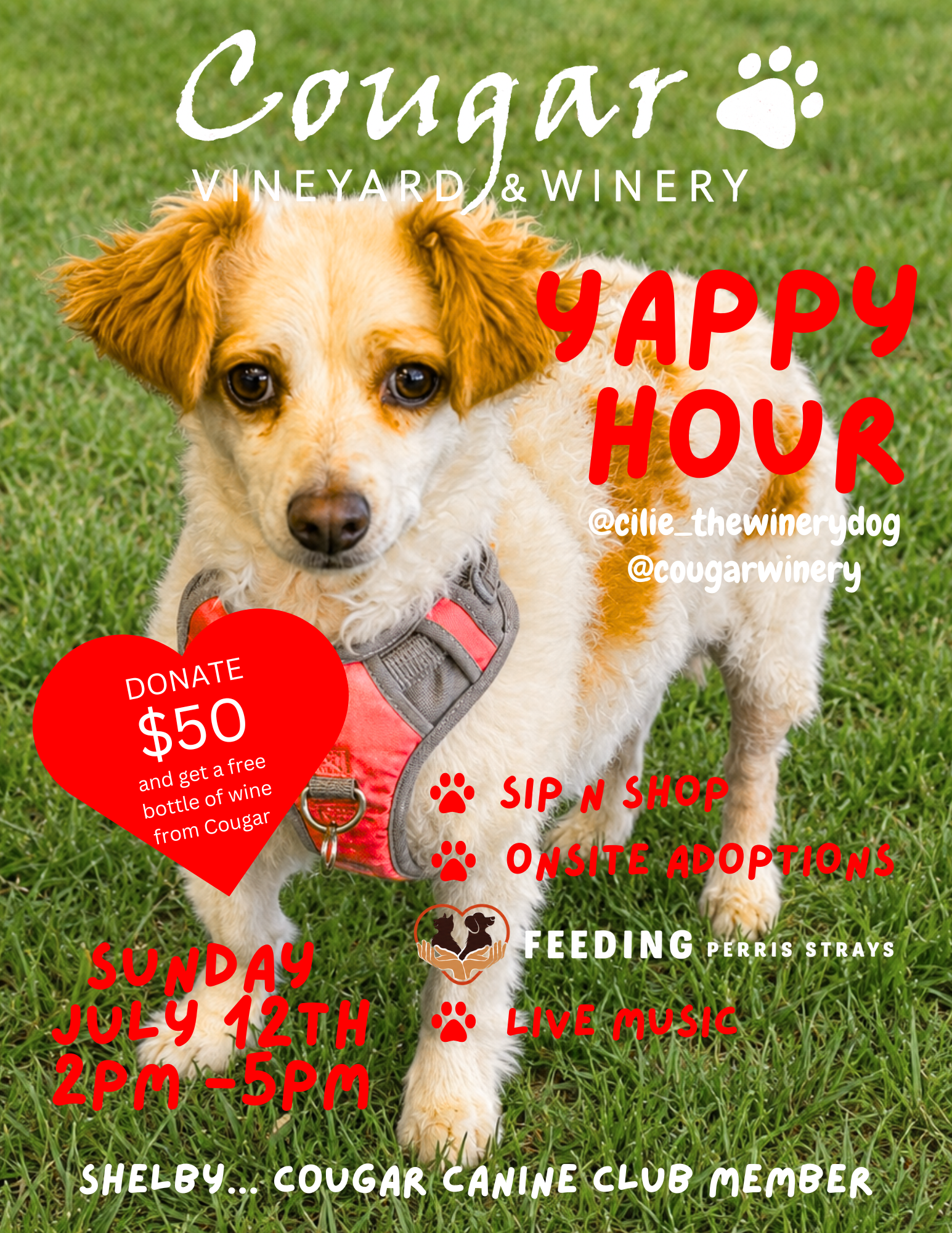 Yappy Hour