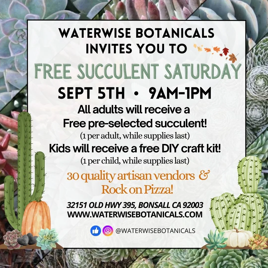 Waterwise Botanicals Free Succulent Saturday