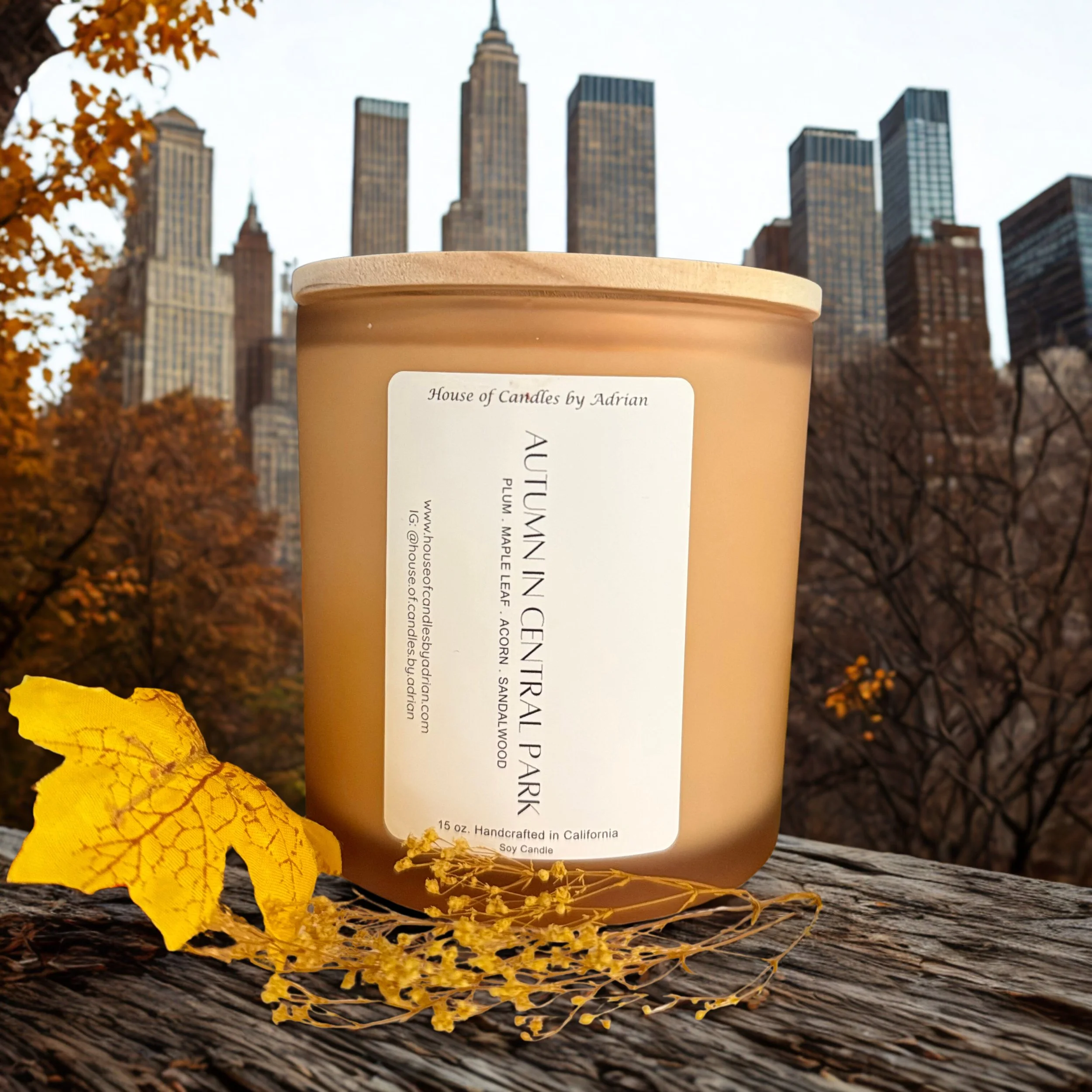 Autumn In Central Park 15 oz.  - Edited.jpg