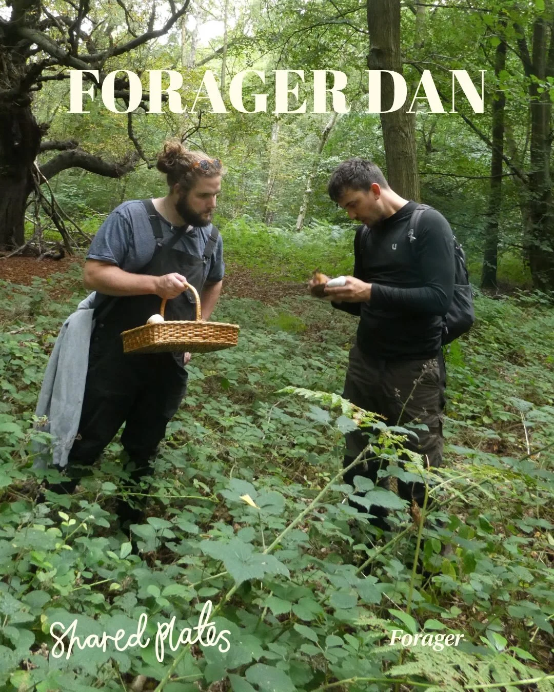 Shared Plates
Food &amp; Art Festival
25 April 2026 | 12:00&ndash;19:00
@new_art_exchange

~

Introducing our FORAGING WALK
with @foragerdan 

This guided foraging walk invites you to experience the natural world through taste, touch and curiosity.

