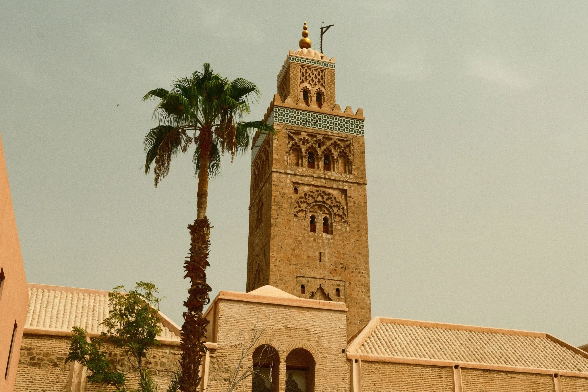 DSCF6462.jpg
