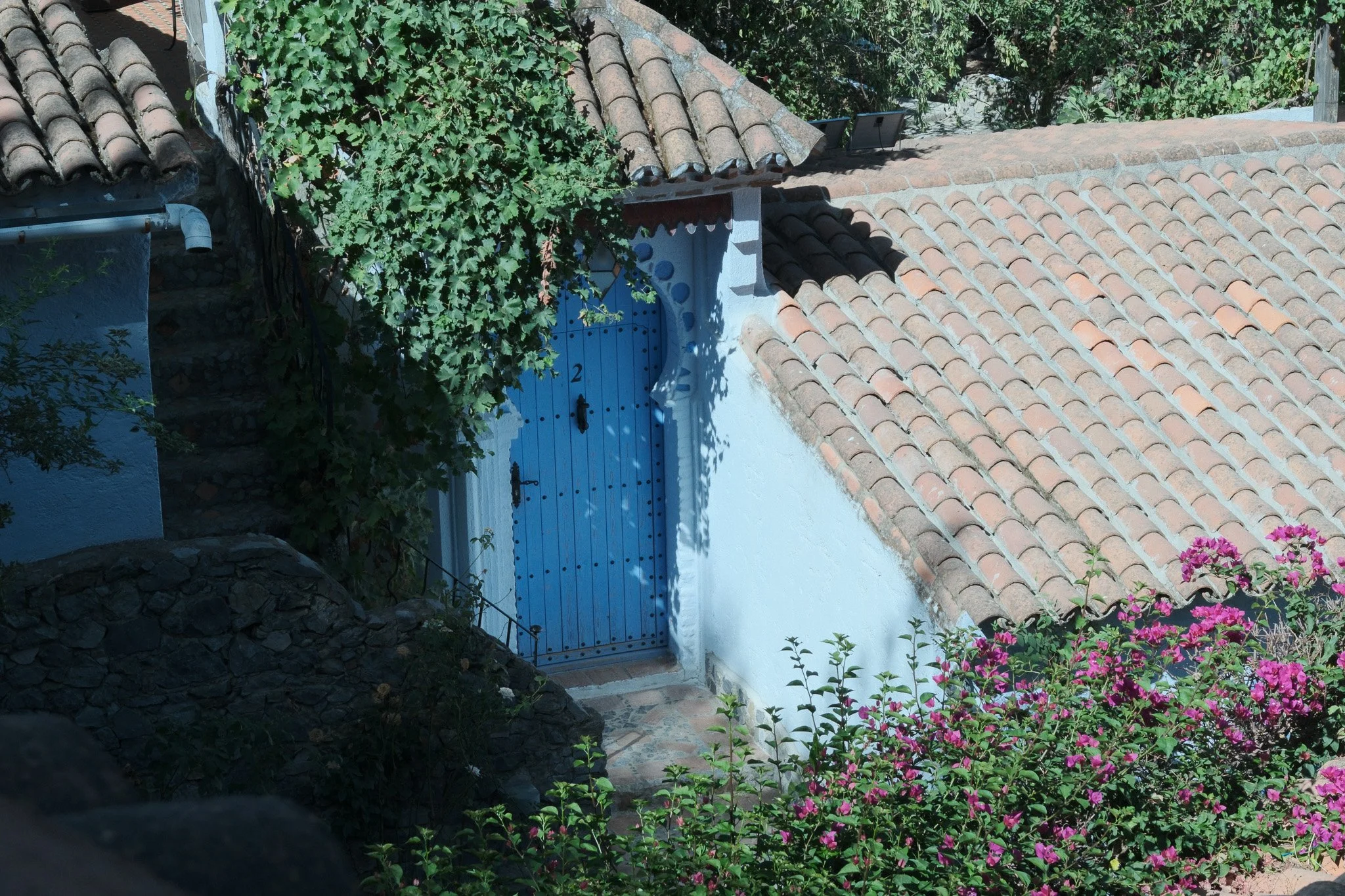 DSCF5255.jpg
