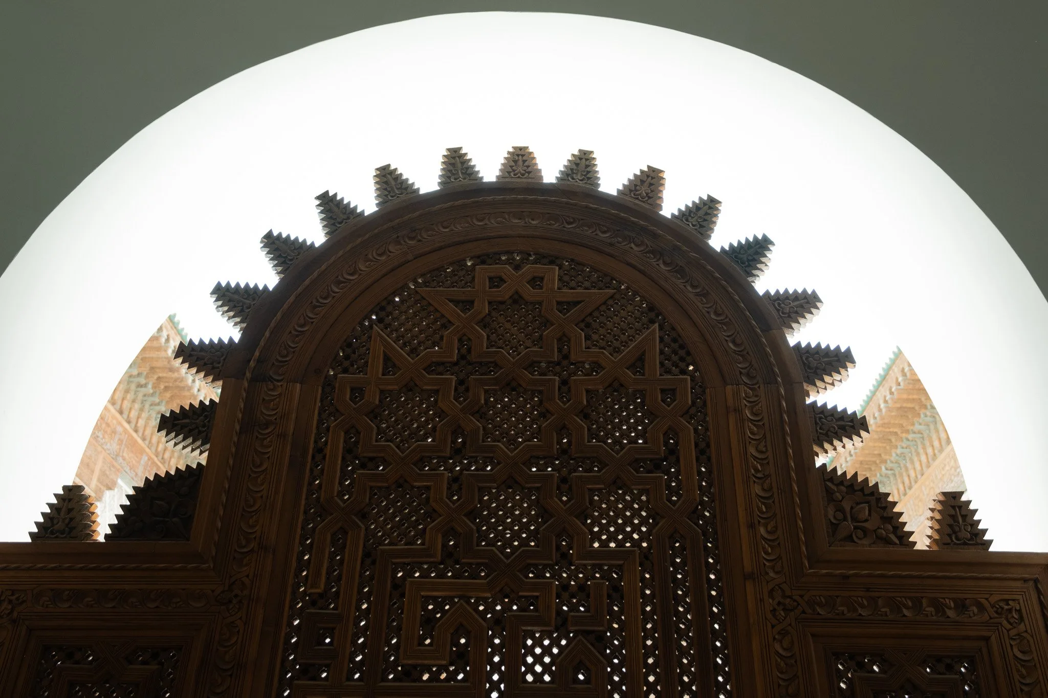 DSCF6564.jpg
