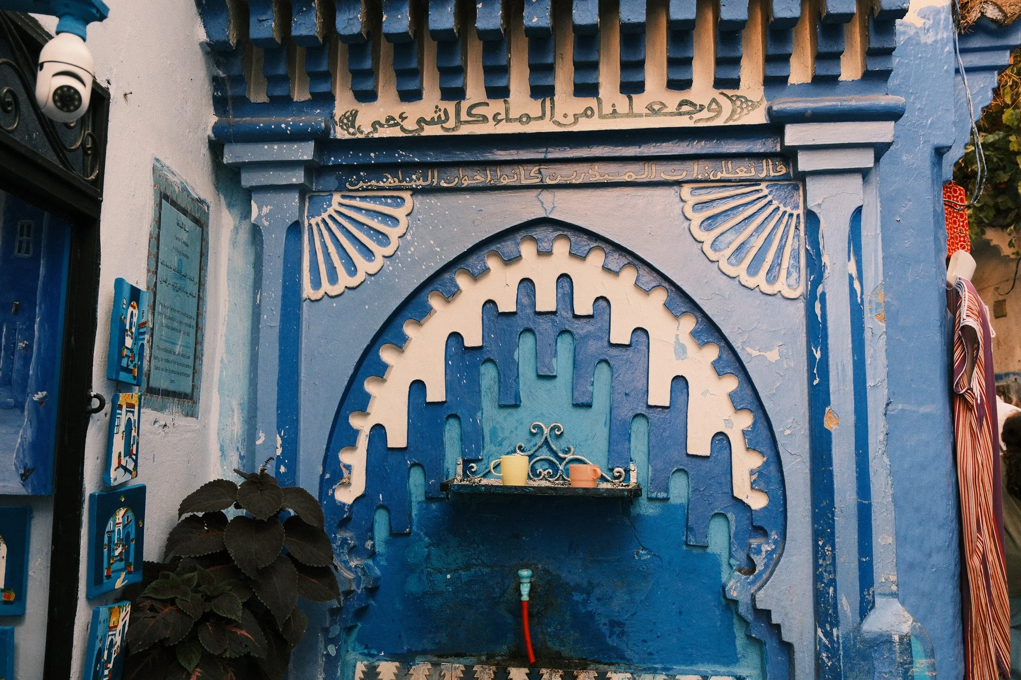 DSCF5526.jpg