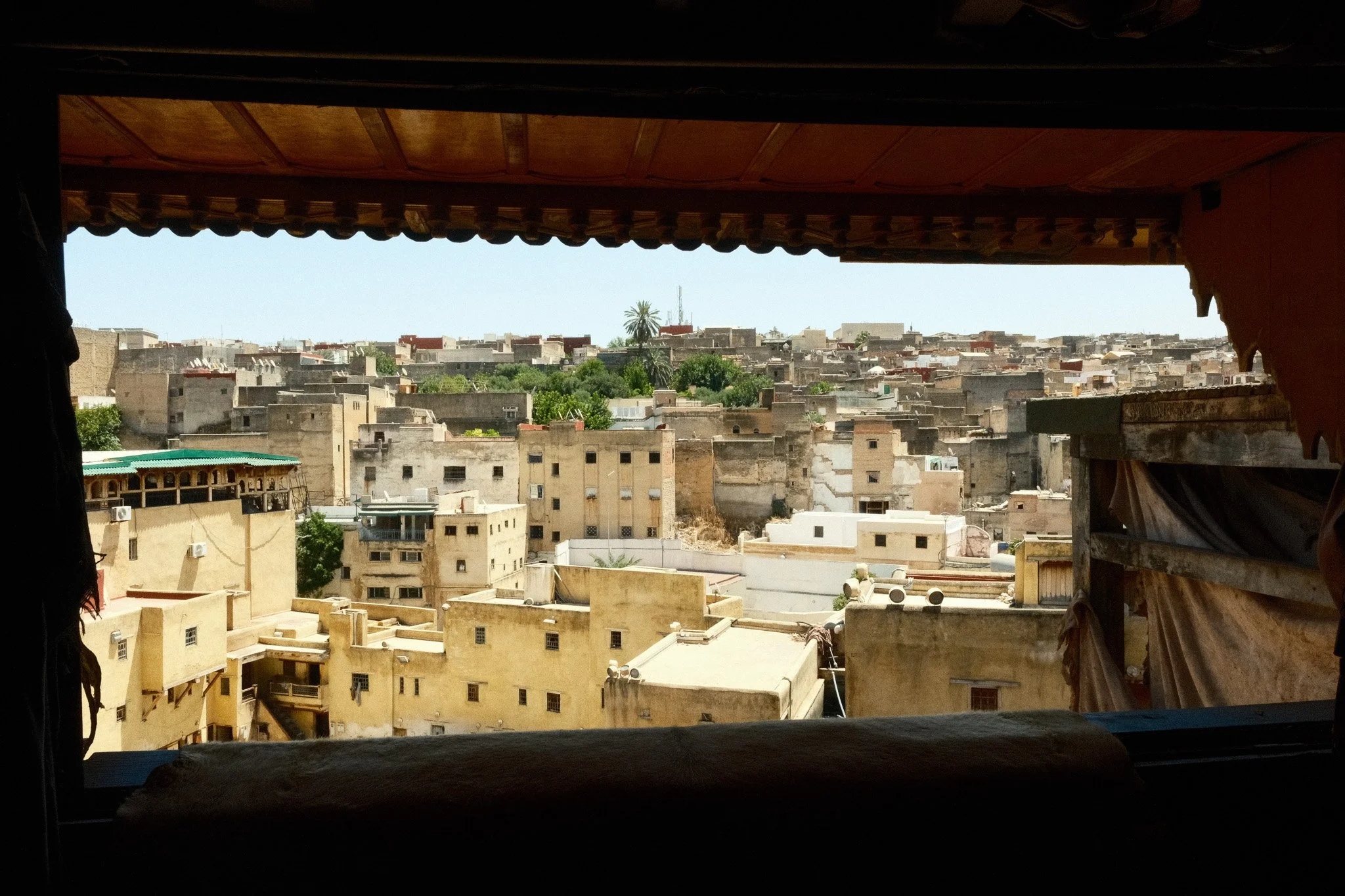 DSCF5991.jpg