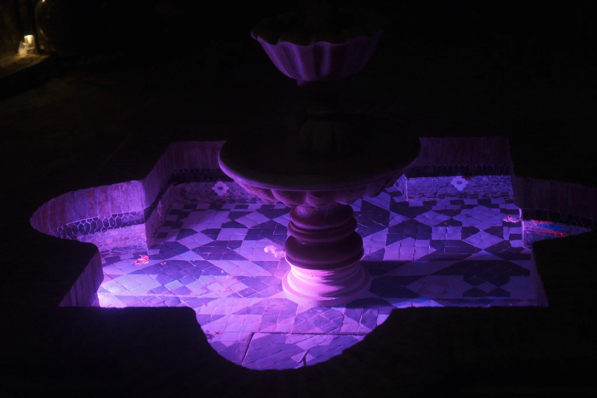 DSCF5238.jpg