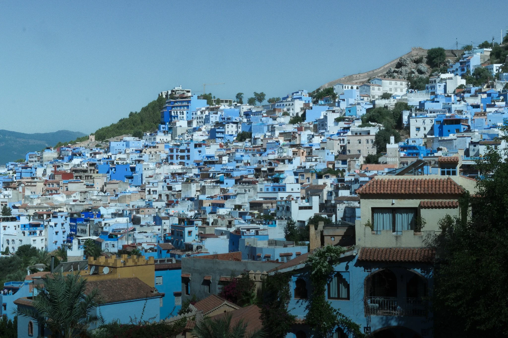 DSCF5252.jpg