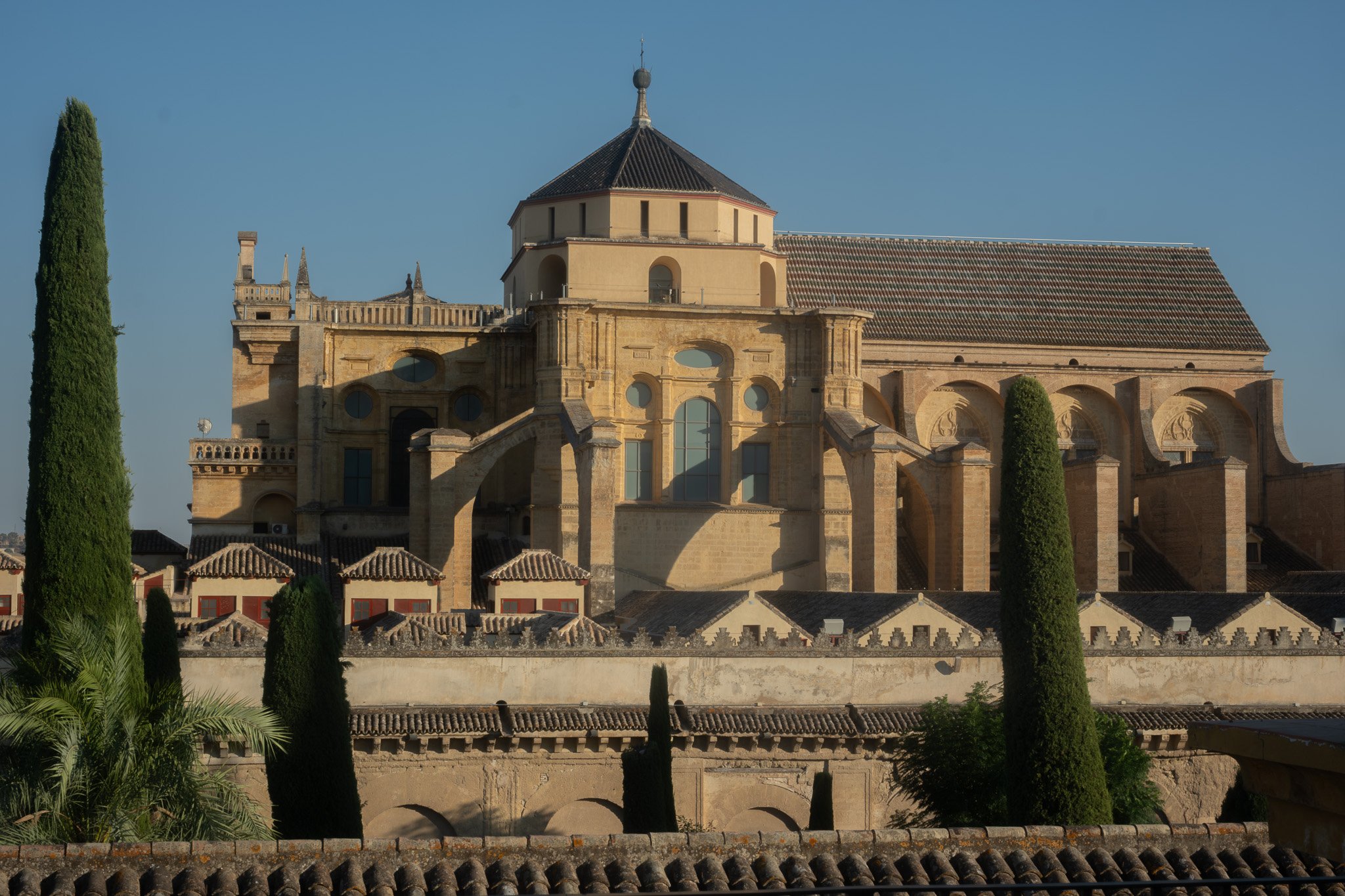 DSCF7749-2.jpg